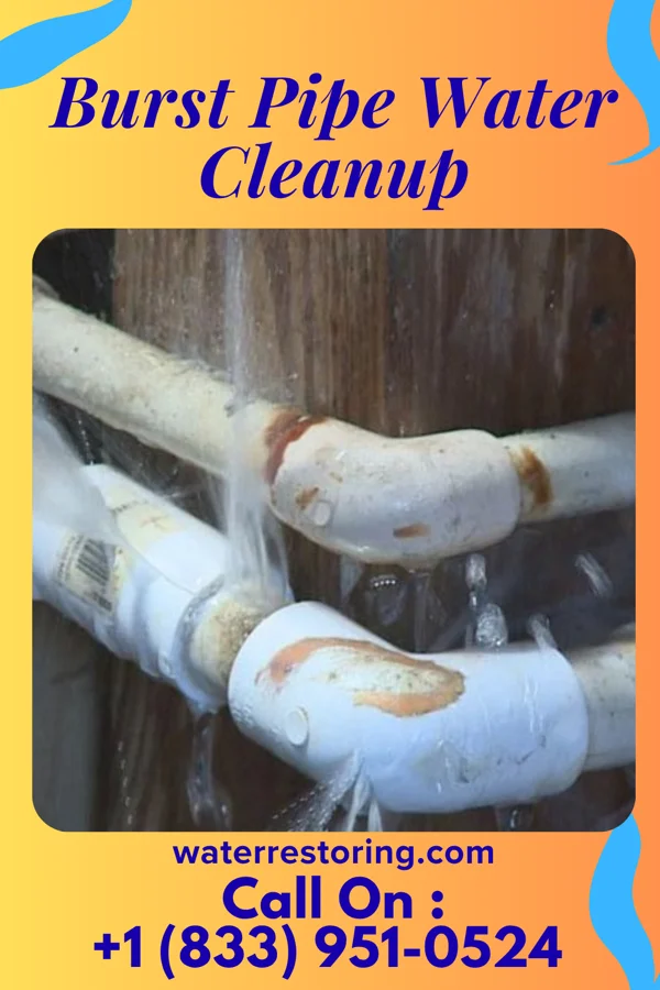 Burst Pipe Water Cleanup in Kimball, MN