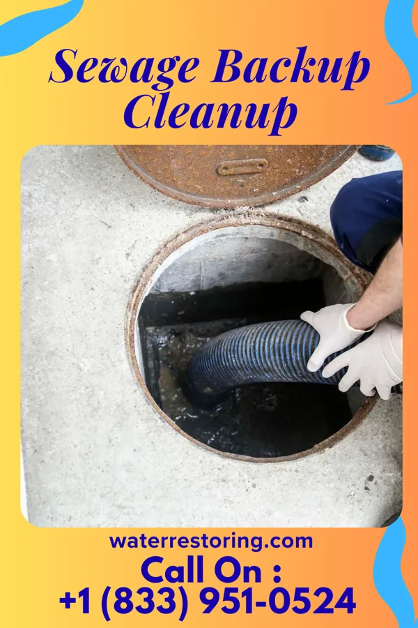 Sewage Backup Cleanup in Kimball, MN
