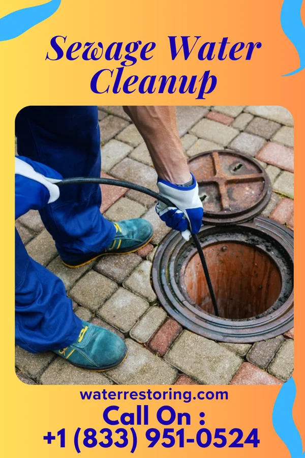 Sewage Water Cleanup in Kimball, MN